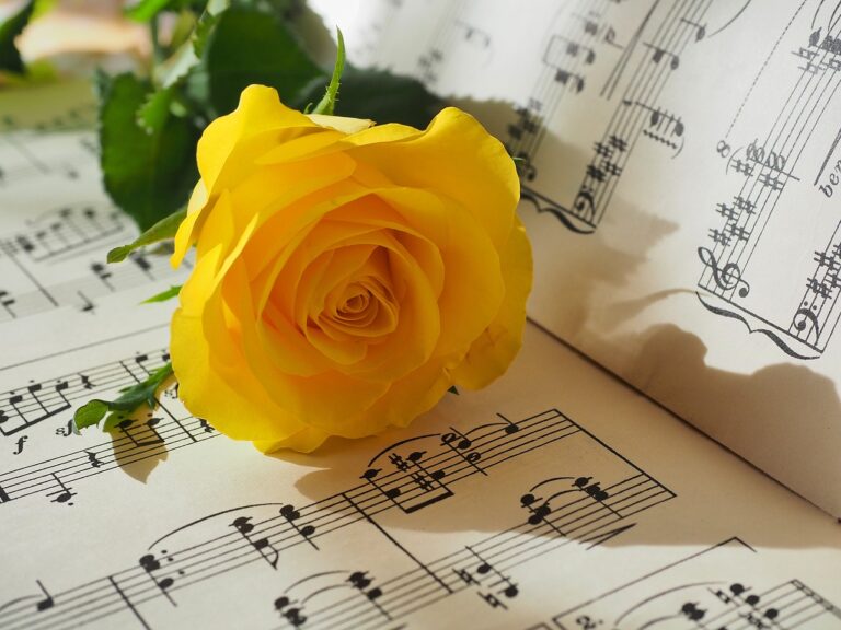 rose, flower, music sheet-8348369.jpg